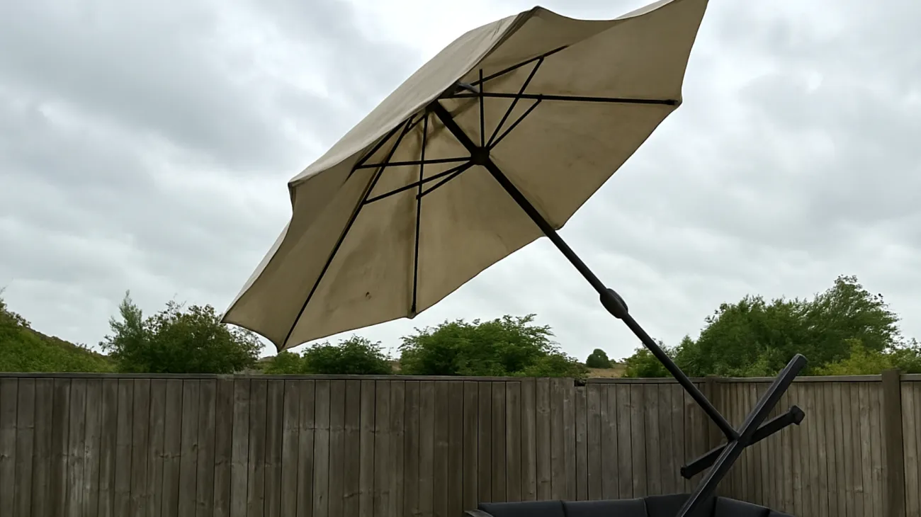 Parasol"